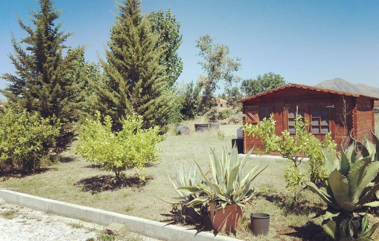 Nenna Country Bed & Breakfast Capua Luaran gambar
