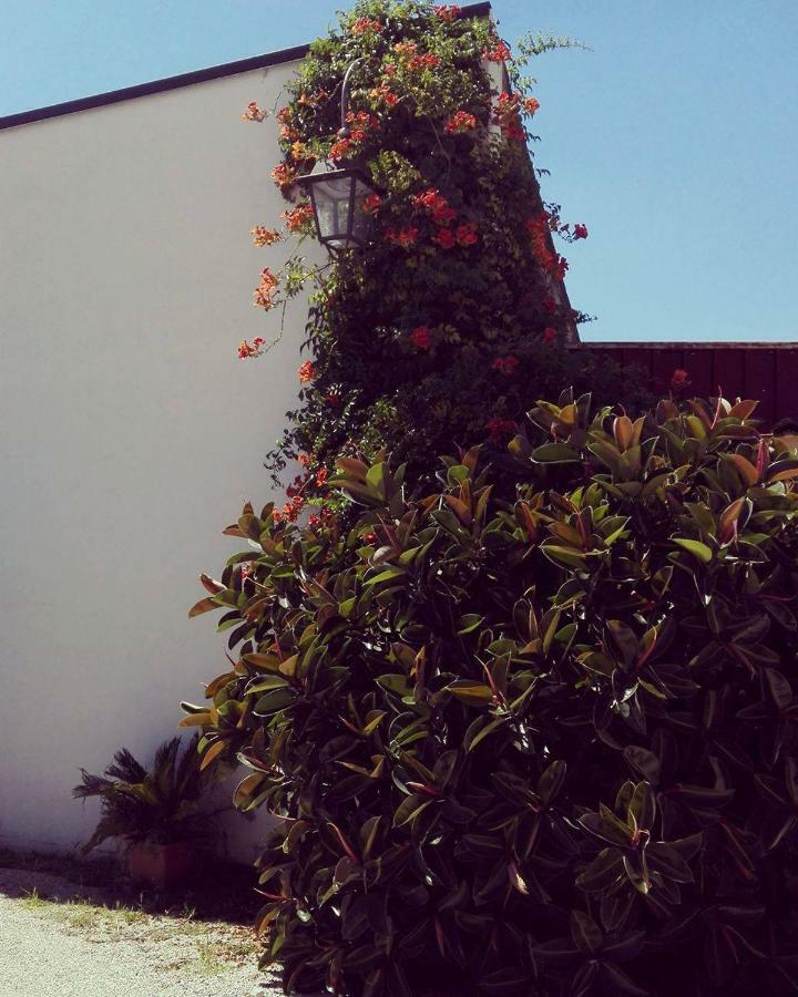 Nenna Country Bed & Breakfast Capua Luaran gambar